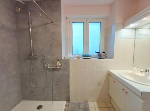 een badkamer met douche en wastafel bij Plain-pied En Rez-de-jardin in Mahalon