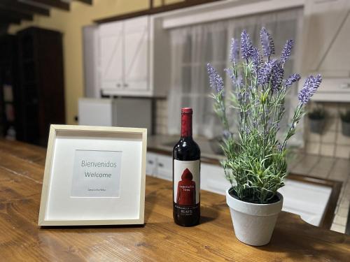 een fles wijn naast een plant bij La Era in La Concepción