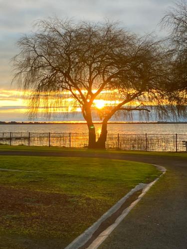 a tree in a park with the sunset in the background at Lake Colac Holiday Park in Colac