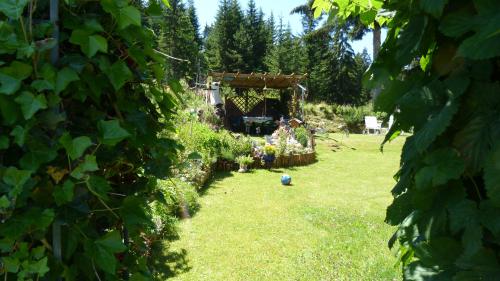 a garden with a pergola and people in the background at Landhaus Genoveva in Leutasch