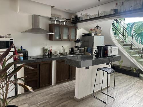 a kitchen with a counter top and a refrigerator at La Selva Hostel in Mexico City