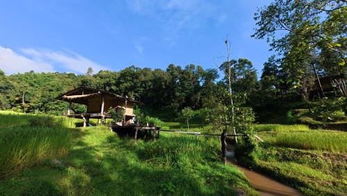 a path through a grassy field with a hut at Chibacall ชิบะคอล, Karen Mountain Hideaway Homestay in Ban Pha Mon