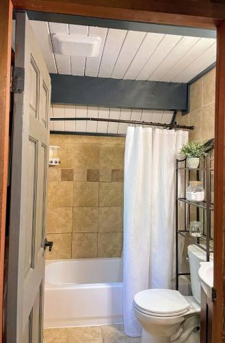 a bathroom with a tub and a toilet and a sink at Nisqually Nest at Mount Rainier in Ashford