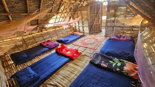 een kamer met meerdere blauwe bedden bij Time Travellers in Auroville