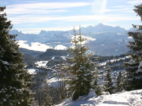 Blick auf einen schneebedeckten Berg mit einem Baum in der Unterkunft Charmant studio 4 pers au Praz de Lys, proche pistes et commerces - FR-1-815-15 in Le Praz de Lys