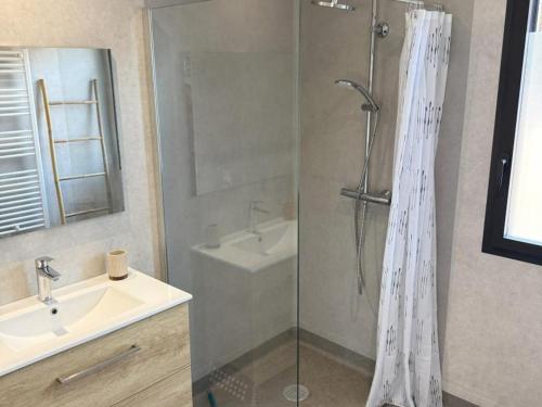 een badkamer met douche en wastafel bij Gîte paisible dans la campagne de Bressolles, animaux admis - FR-1-489-596 in Bressolles