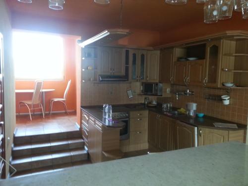 a kitchen with wooden cabinets and a counter top at Villa Bodiky in Bodíky