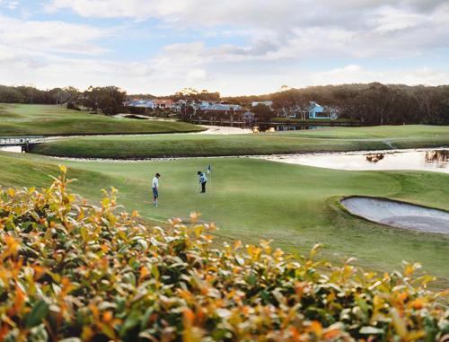 ショール・ベイにあるFrangipaniのゴルフ場でのゴルフ