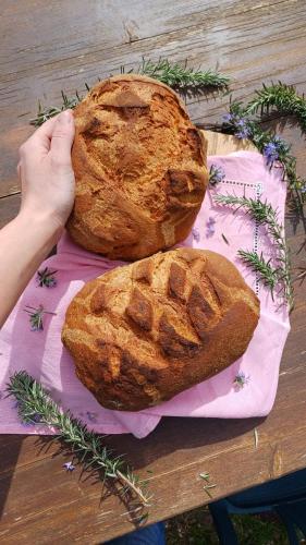 zwei Brote auf einem Tisch in der Unterkunft Agriturismo Montesalce in Gubbio