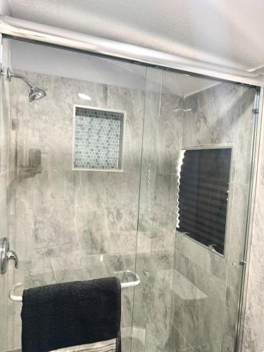 a bathroom with a shower with a glass door at Hidden Treasure in Davenport