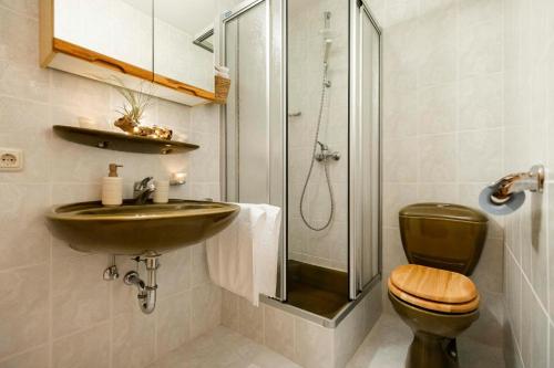 a bathroom with a sink and a toilet and a shower at Haus Gerlinde in Drachselsried