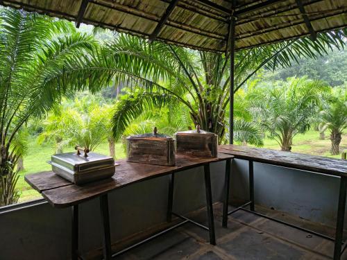 a table with three boxes sitting on top of it at Vantara jungle stay in Potolai