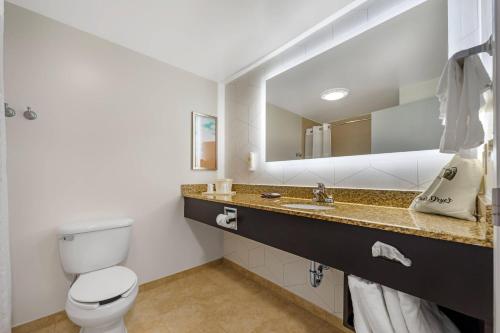 a bathroom with a toilet and a sink and a mirror at Comfort Suites Lewisburg in Lewisburg