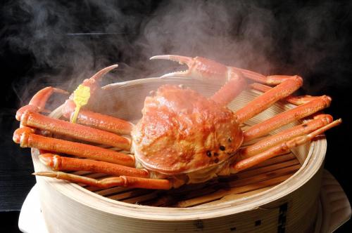 Φωτογραφία από το άλμπουμ του 越前温泉 平成 σε Echizen