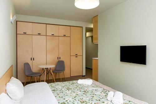 Μια τηλεόραση ή/και κέντρο ψυχαγωγίας στο Studio in The Hills of Bakuriani Rooms Hotel Building