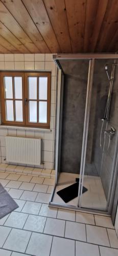 a bathroom with a shower in a room at Haus Bergmassiv in Lermoos
