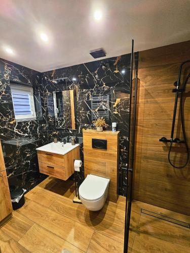 a bathroom with a toilet and a sink at Domki Kamienne Zacisze in Uherce Mineralne (7)
