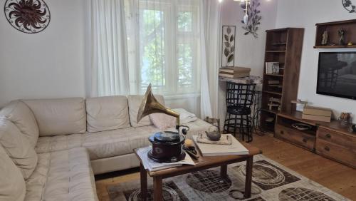 Una sala de estar con un sofá blanco y una mesa. en Romantic House in Botanic Garden, en Banská Štiavnica