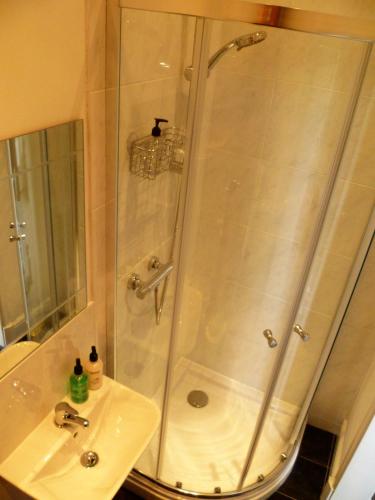 a bathroom with a shower and a sink at Aberllynfi Riverside Guest House in Glasbury