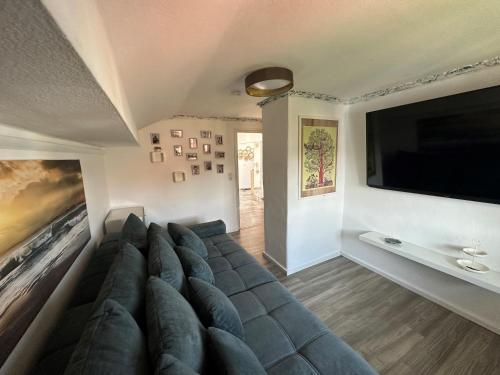 TV a/nebo společenská místnost v ubytování Heimat Apartment