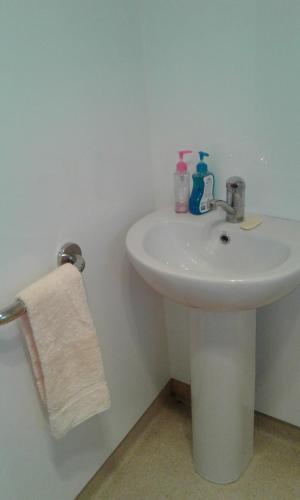 lavabo blanco en el baño con toalla en The_Cozy_Batch With a rural view, en Whanganui