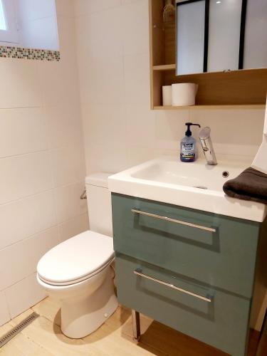 a bathroom with a toilet and a sink at Jolie maison Foix in Foix