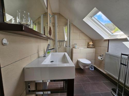 a bathroom with a sink and a toilet at Das blaue Haus in Pleisweiler-Oberhofen