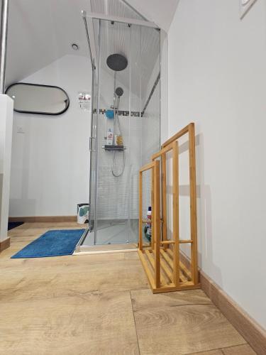 a shower with a glass door in a room at O Cottage E Lavisse in Le Nouvion-en-Thiérache