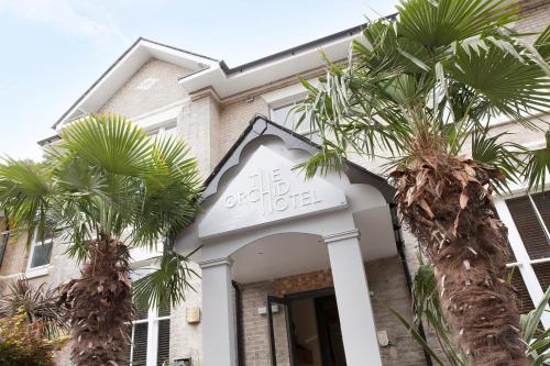 a building with palm trees in front of it at The Orchid Hotel in Bournemouth