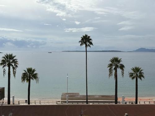 a group of palm trees next to a beach at Le repaire d'Antibes atypique proche parc et mer in Juan-les-Pins