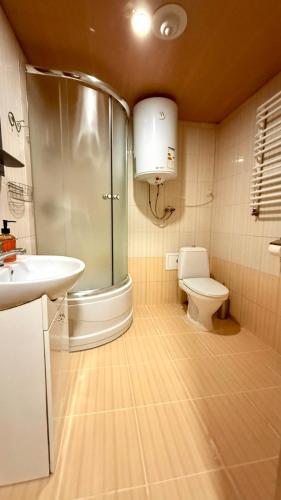 奥尔亚维奇克Drozdovichi Resort的带淋浴、马桶和水槽的浴室