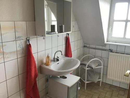 a bathroom with a sink and a mirror at Schardeichhof Meyer in Pellworm