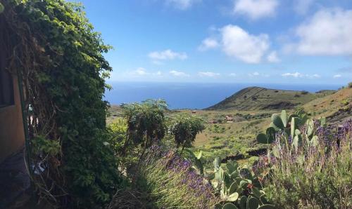 a field of plants with the ocean in the background at Casa La Tedera in El Pinar del Hierro