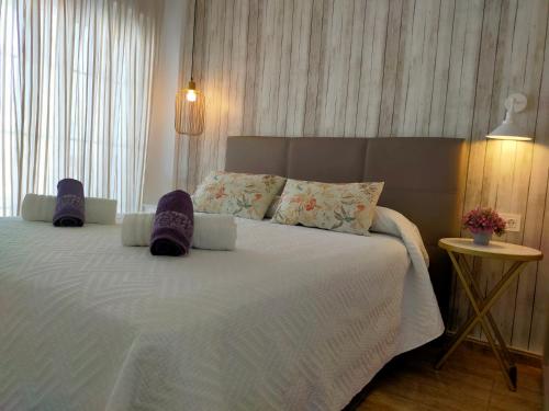 Nerja Sun Apartments Delfín Torrecilla