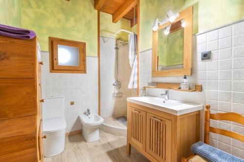 Savallá del CondadoにあるCal Xavier De Seguraの洗面台、トイレ、シャワー付きのバスルーム