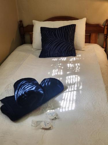 a bed with two blue pillows and glasses on it at Anique's Guest house in Beaufort West