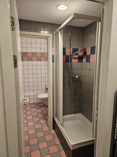a bathroom with a shower and a bath tub at Bellinzona Piazza Collegiata in Bellinzona