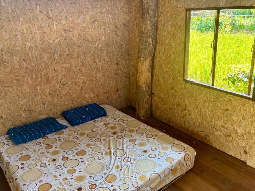 Cette chambre comprend un lit avec des oreillers bleus et une fenêtre. dans l'établissement Maewin Farmer Homestay, à Ban Huai Rin