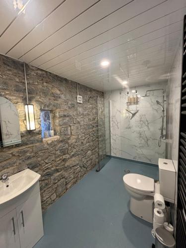a bathroom with a stone wall and a toilet and sink at Kells Yard in Feevaghmore