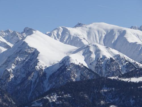 a mountain covered in snow with trees on it at Appartements Haus JÖRG in Serfaus