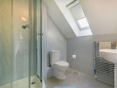 a bathroom with a toilet and a sink and a skylight at 3 Bed in Watchet 37336 in Watchet