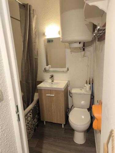 a small bathroom with a toilet and a sink at Les Ours Bruns in Aragnouet