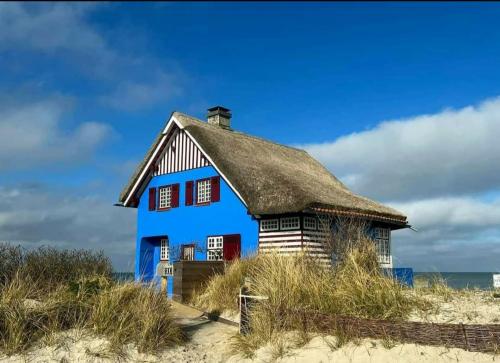 Naturlandskabet i nærheden af feriehuset
