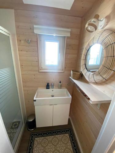 a small bathroom with a sink and a mirror at Hausboot Koje Kaete mit großem Sonnendeck in Schleswig in Schleswig