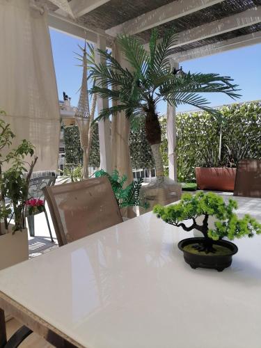 Roof Top appartement with huge Terrace