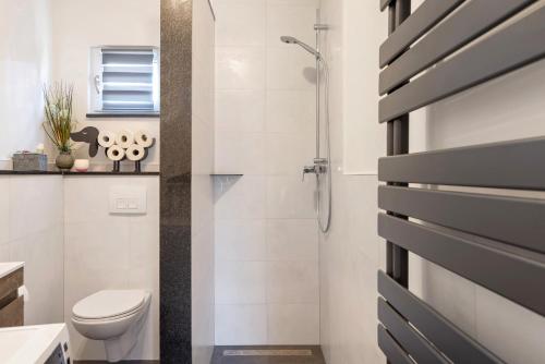 a bathroom with a shower and a toilet at Pension Haus Leni am Schwanenteich in Mühlhausen