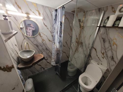 Koupelna v ubytování La Comté à Blagnac