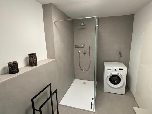 a bathroom with a shower and a washing machine at Landhaus am Burgberg in Freyung