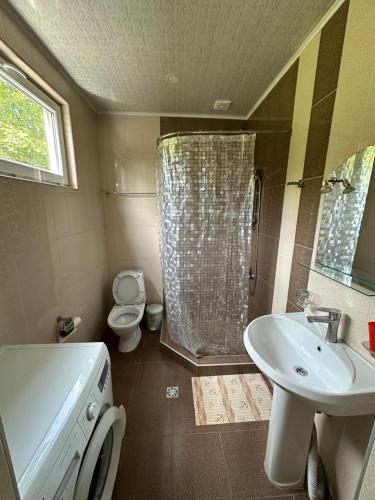 a bathroom with a shower and a sink and a toilet at Arpi GuestHouse Dilijan in Dilijan