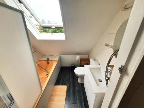 エヴルーにあるChambres chez l'habitant à louer 10 min gare et centre villeの屋根裏のバスルーム(トイレ、天窓付)